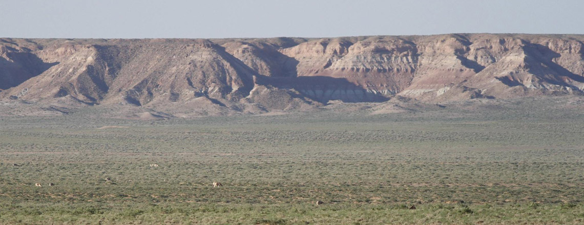 Эргэлийн зоо